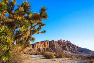 Red Rock Canyon-0156.jpg